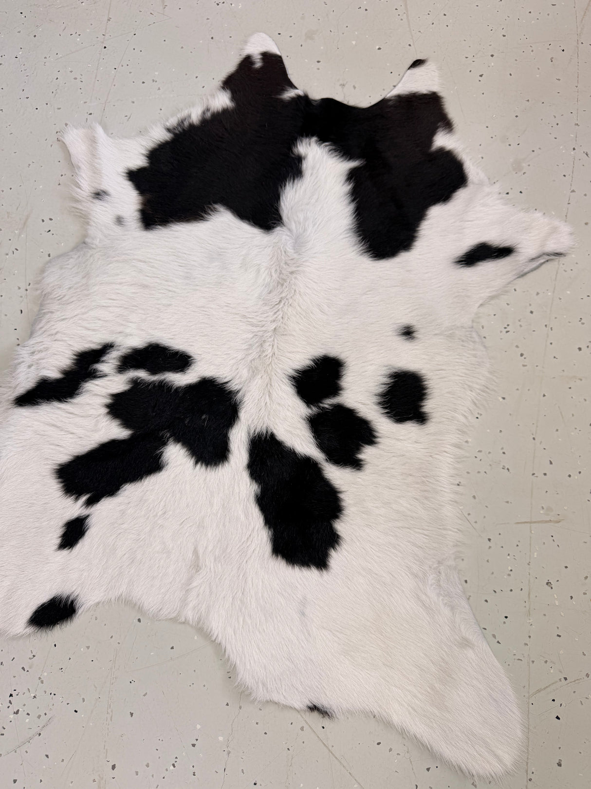 Calf Hide Floor Rug 137