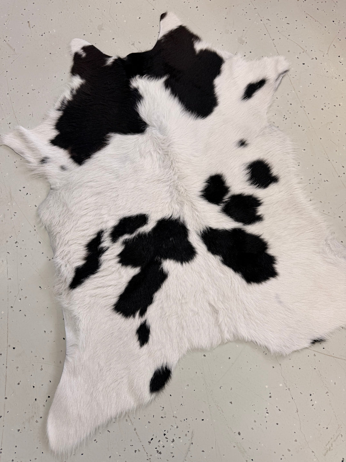 Calf Hide Floor Rug 137