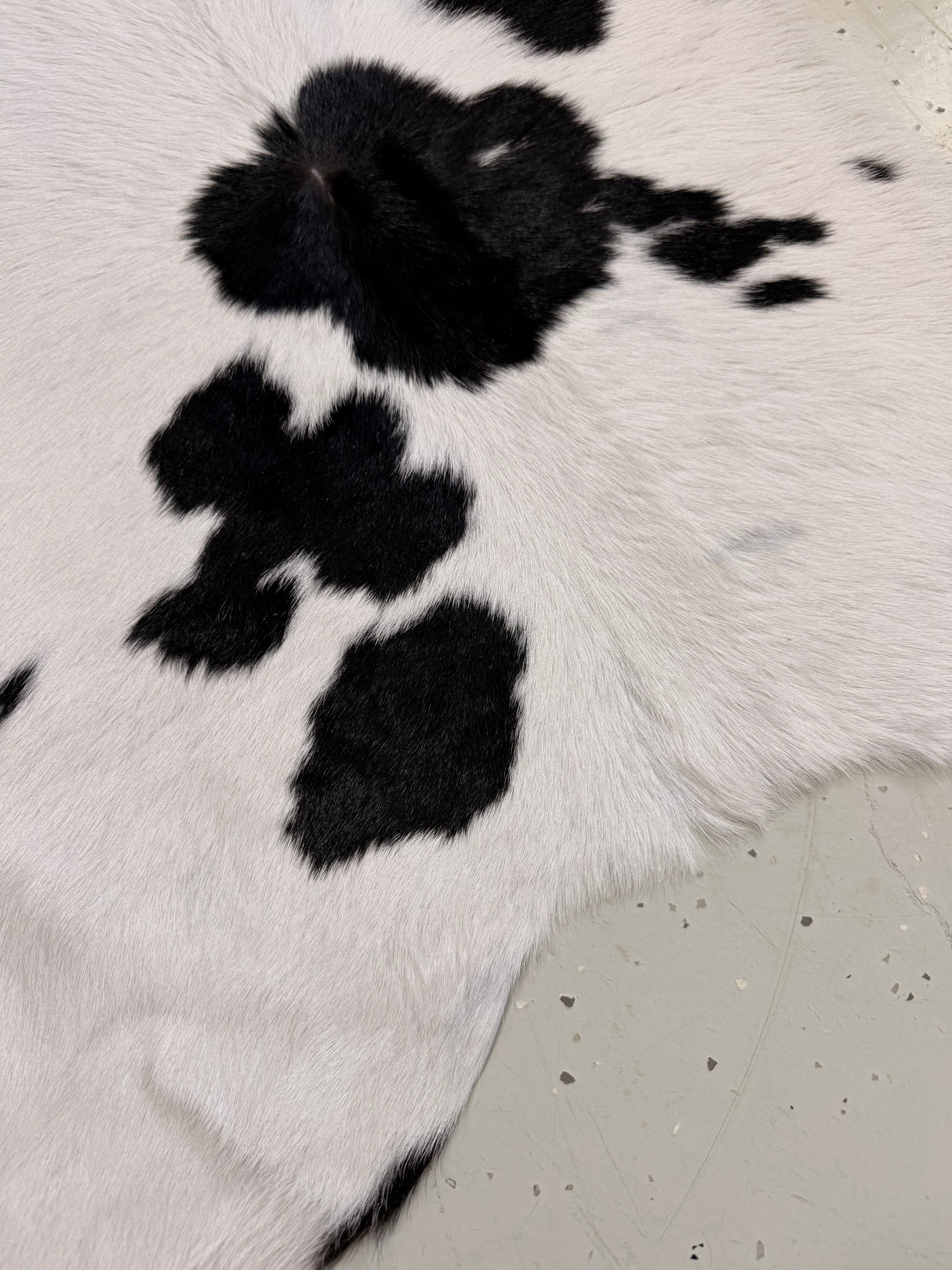 Calf Hide Floor Rug 138