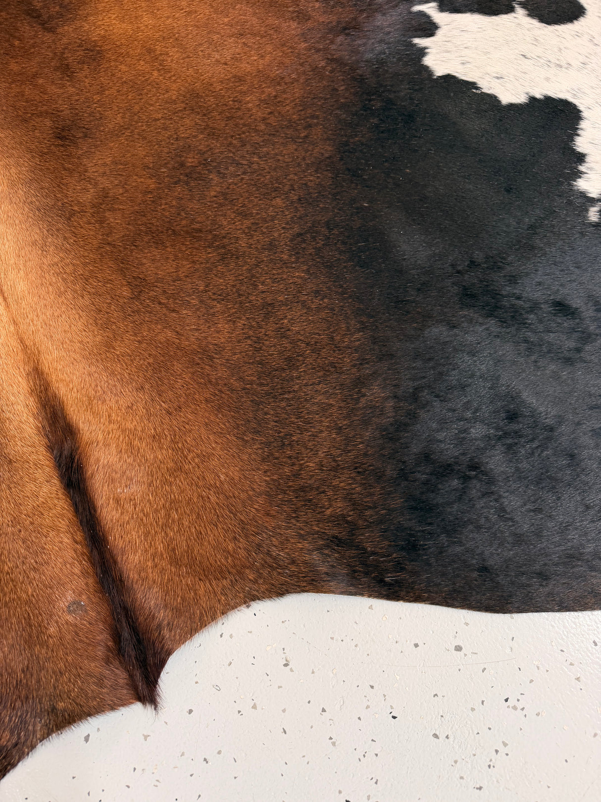 Genuine Cowhide Floor Rug 1297