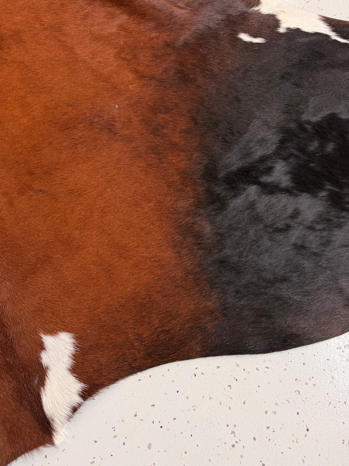Genuine Cowhide Floor Rug 1298