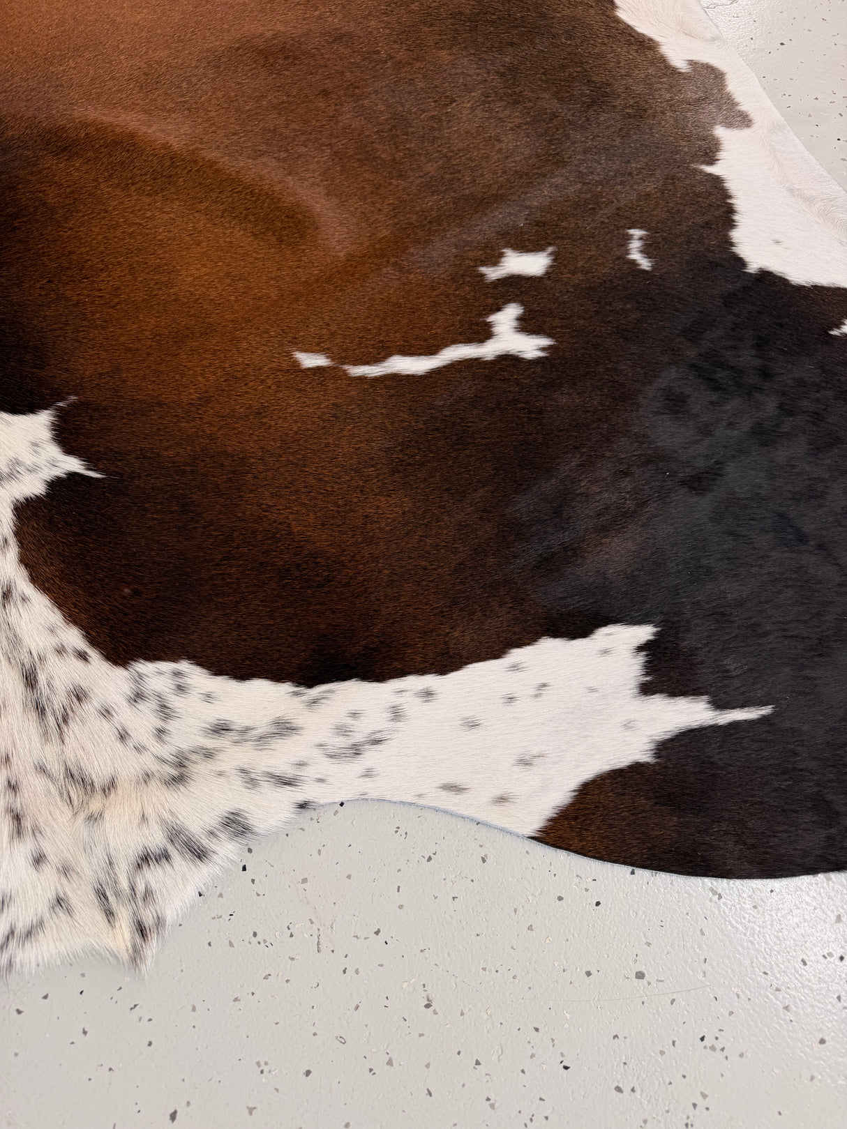 Genuine Cowhide Floor Rug 1299