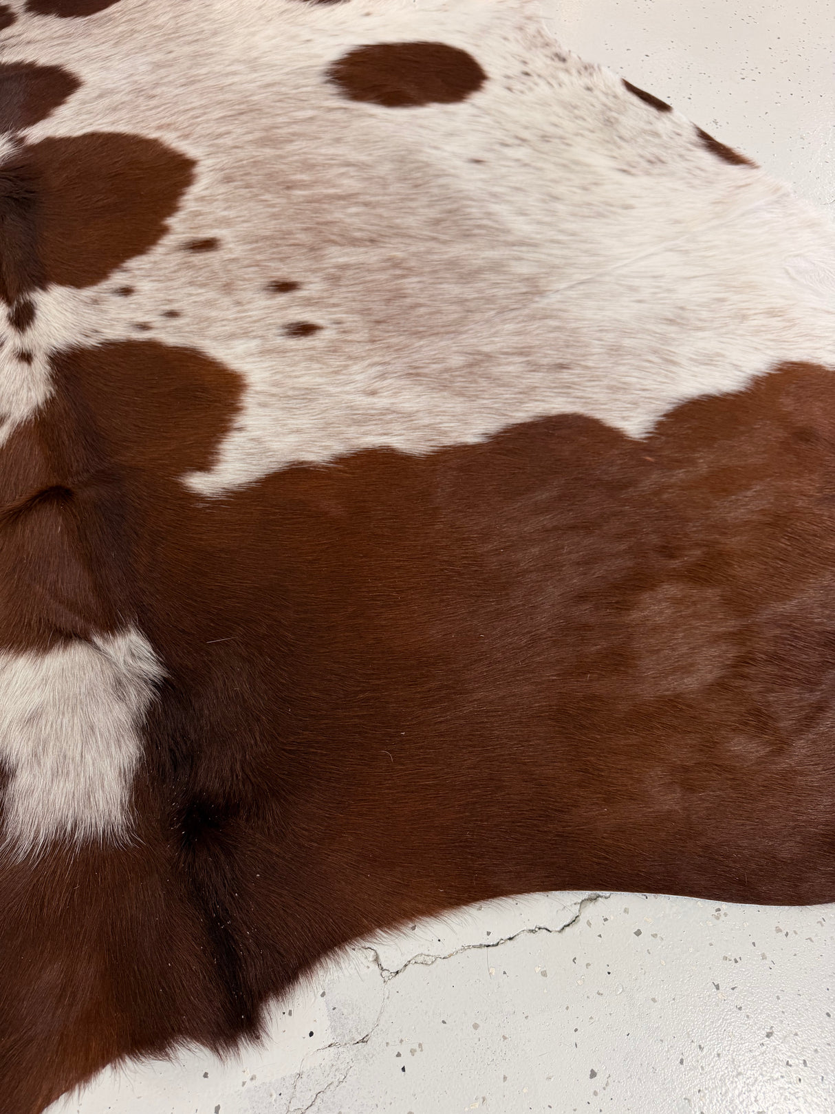 Genuine Cowhide Floor Rug 1307