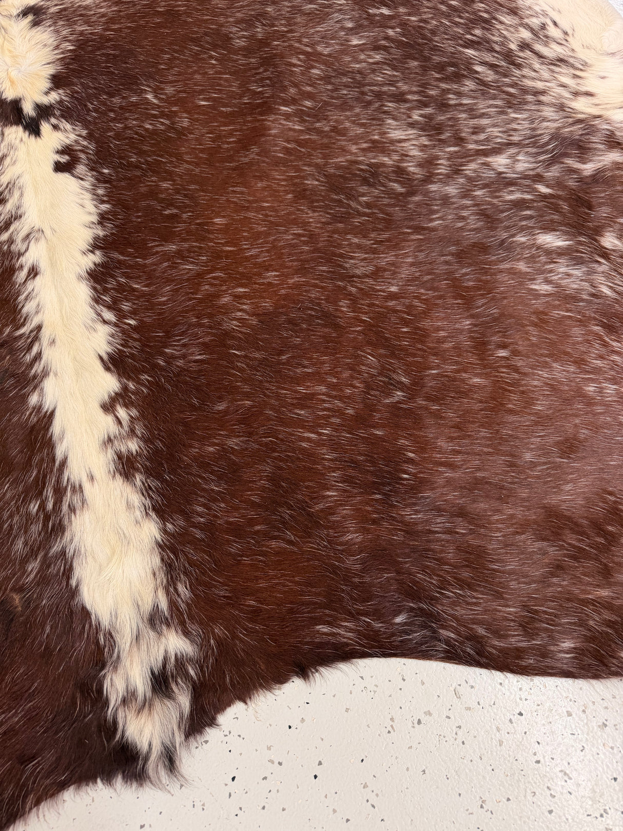 Genuine Cowhide Floor Rug 1312
