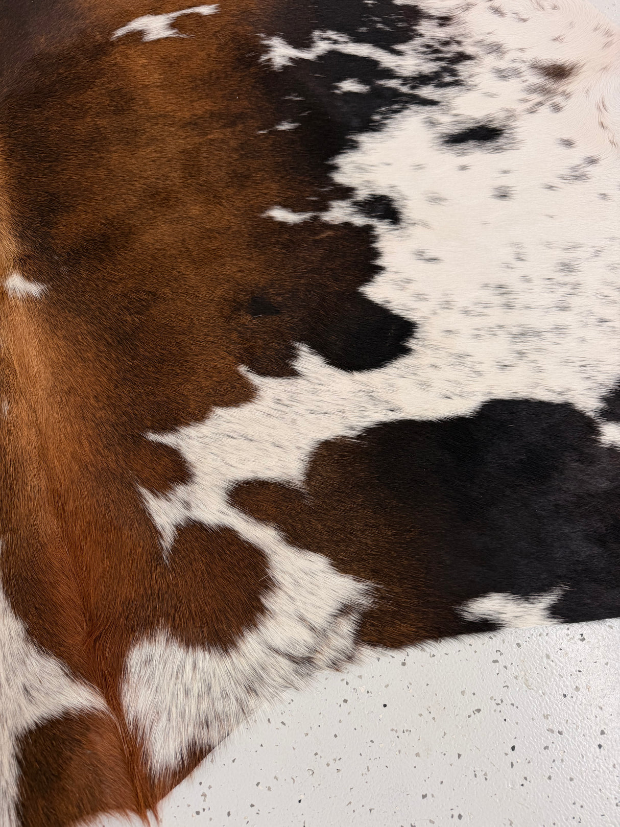 Genuine Cowhide Floor Rug 1313