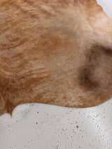 Genuine Cowhide Floor Rug 1322