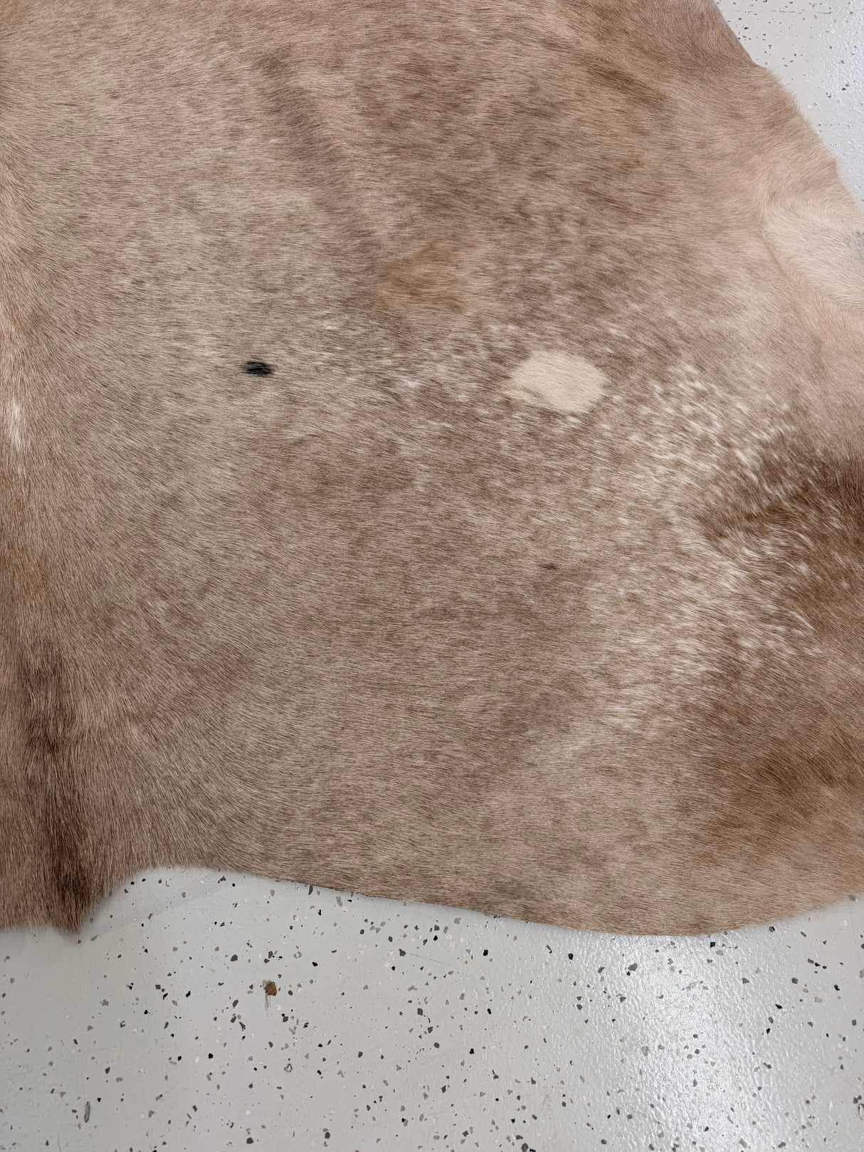 Genuine Cowhide Floor Rug 1323