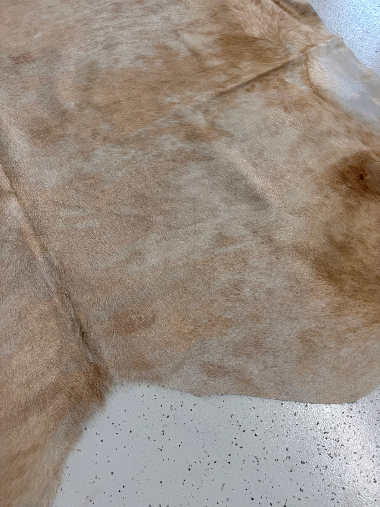 Genuine Cowhide Floor Rug 1326