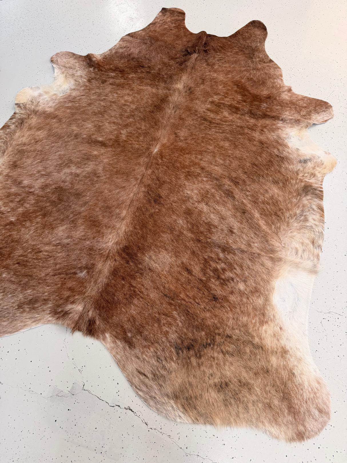 Genuine Cowhide Floor Rug 1327