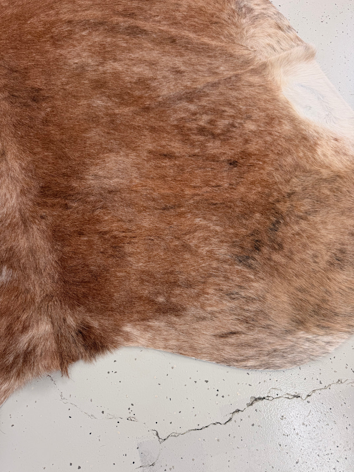 Genuine Cowhide Floor Rug 1327