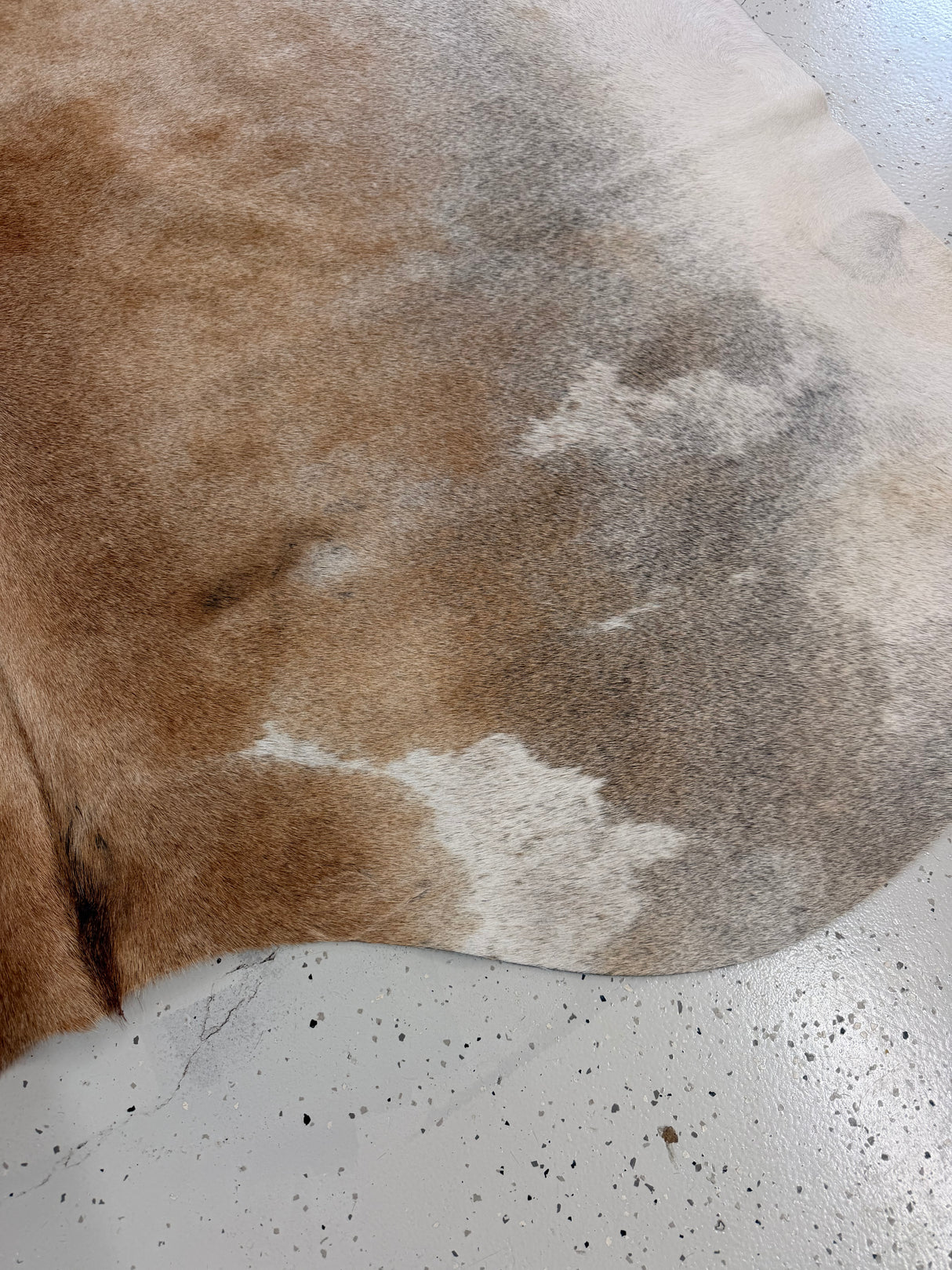 Genuine Cowhide Floor Rug 1329