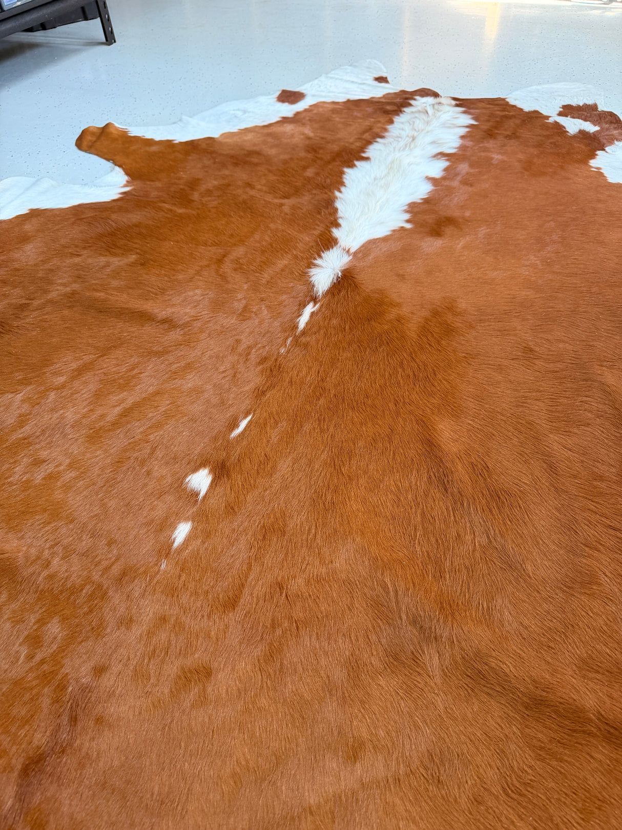 Genuine Cowhide Floor Rug 182