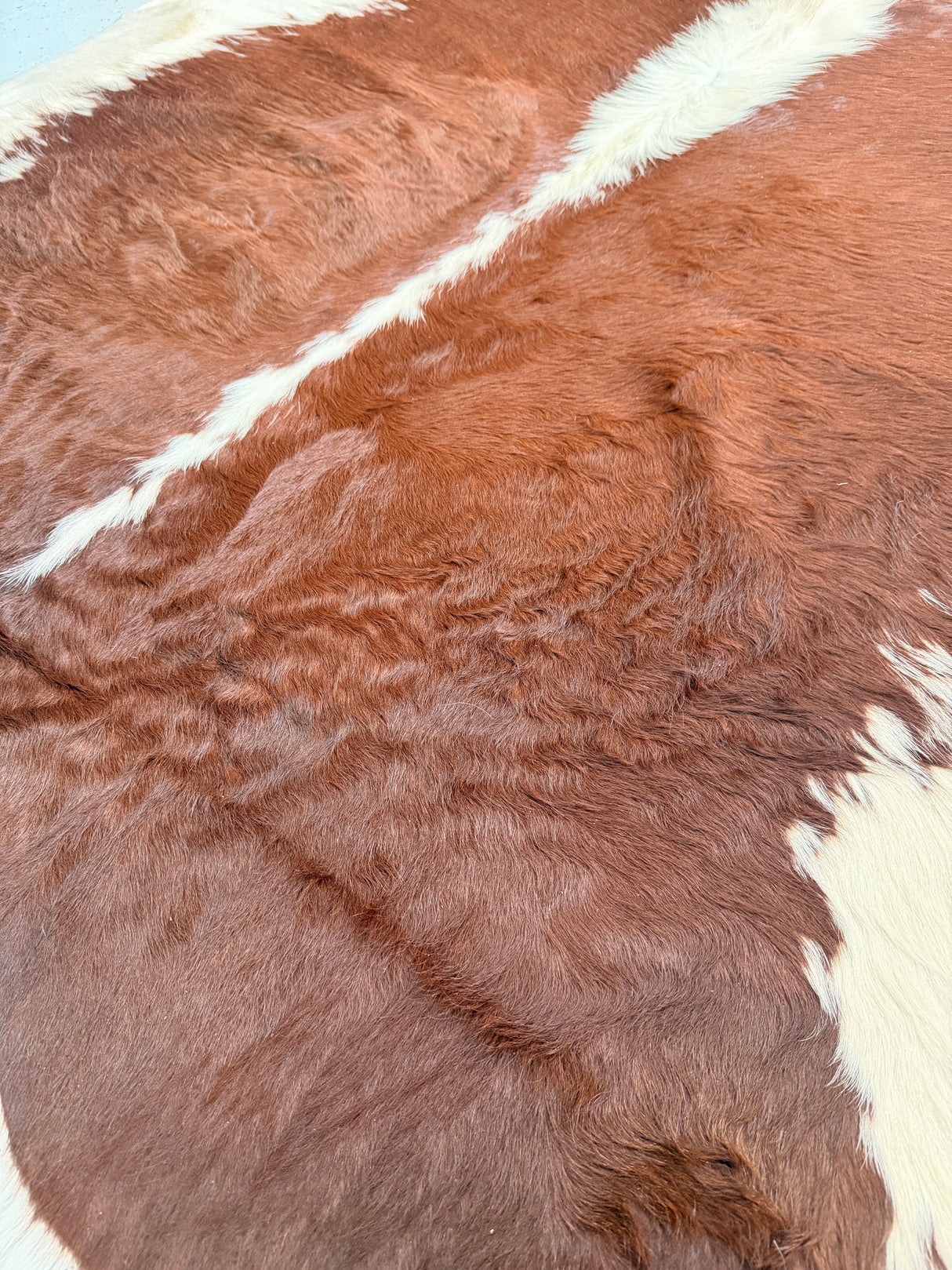 Genuine Cowhide Floor Rug 185-1