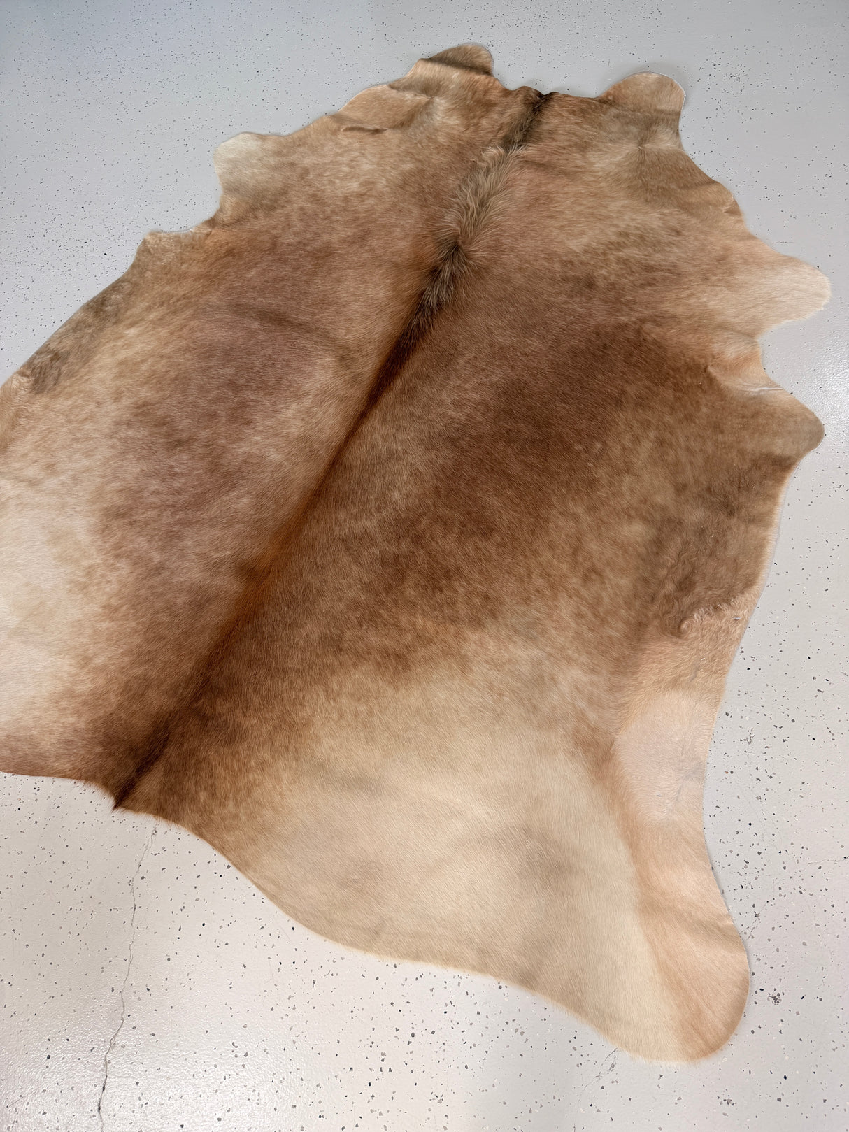 Genuine Cowhide Floor Rug 761