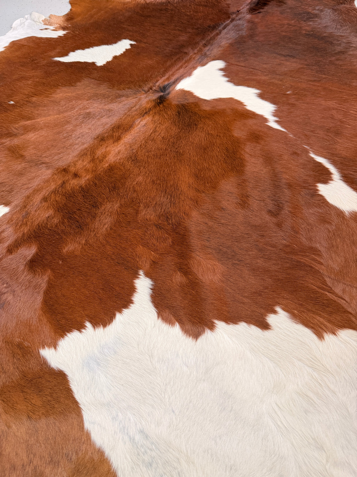 Genuine Cowhide Floor Rug 58-1