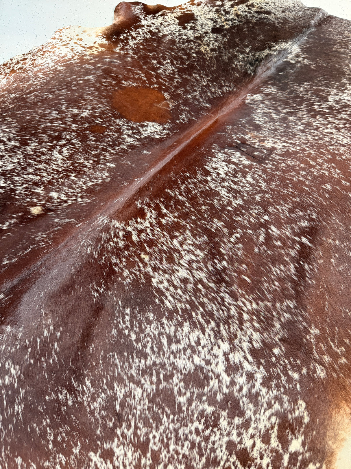 Genuine Cowhide Floor Rug 497