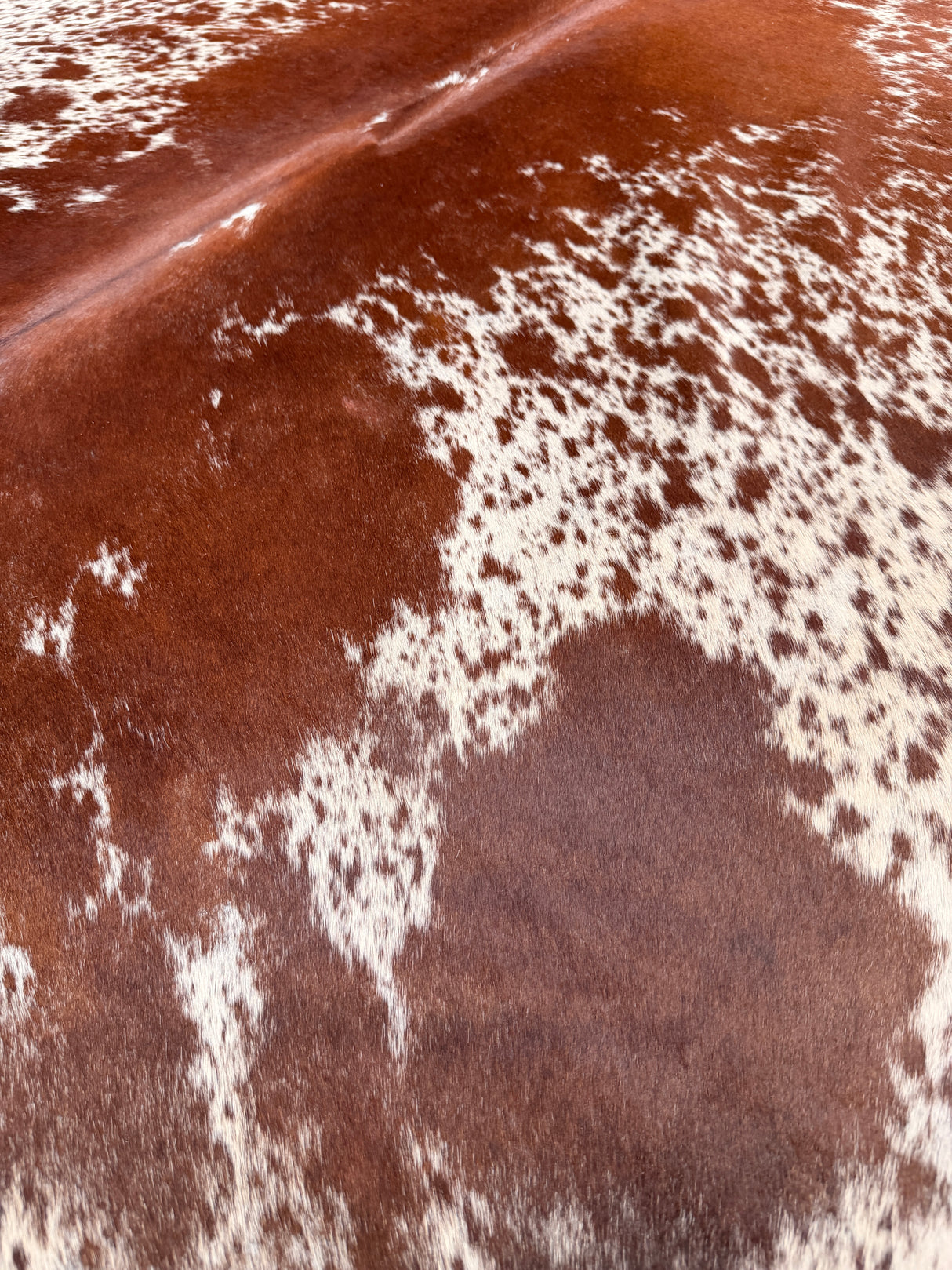 Genuine Cowhide Floor Rug 495
