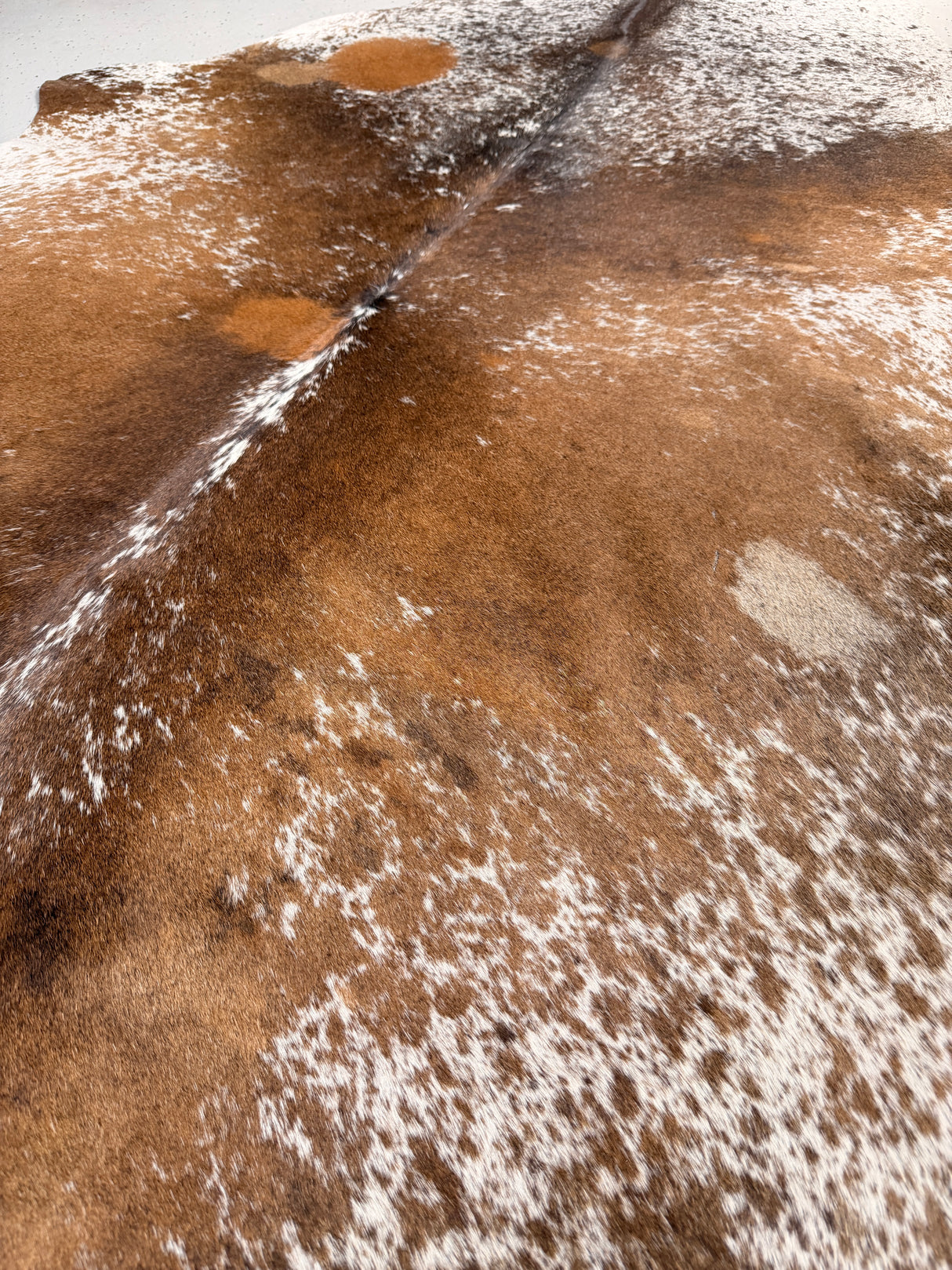 Genuine Cowhide Floor Rug 531