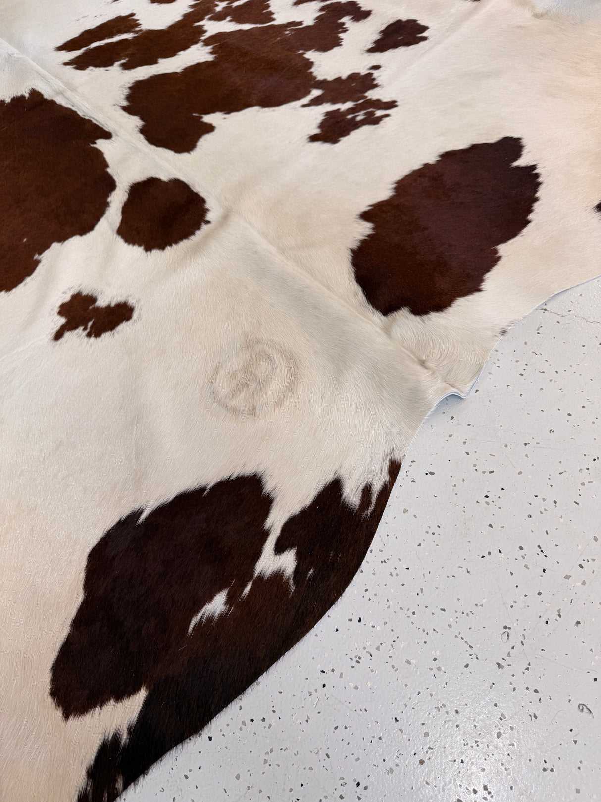 Genuine Cowhide Floor Rug 847
