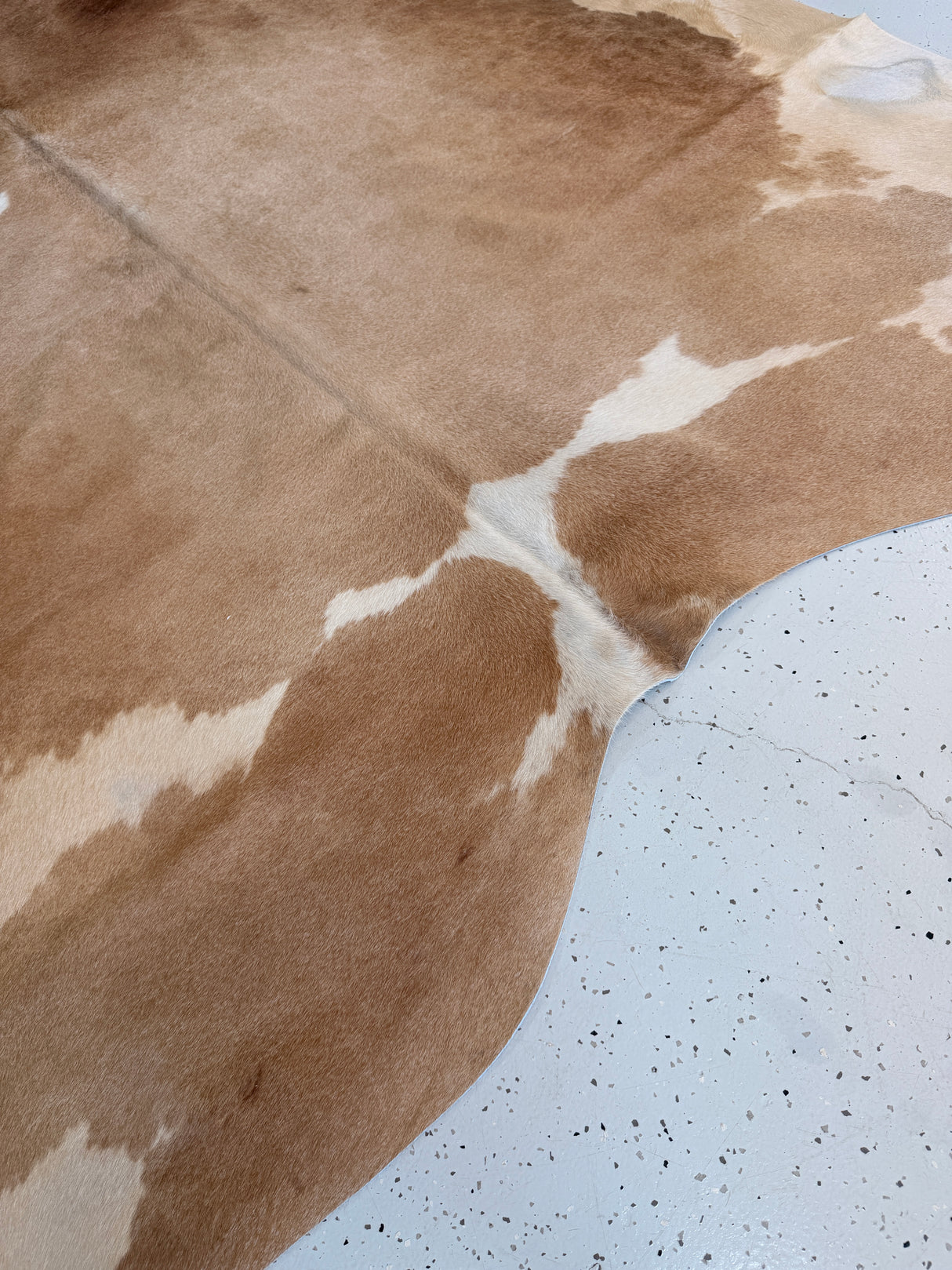 Genuine Cowhide Floor Rug 850