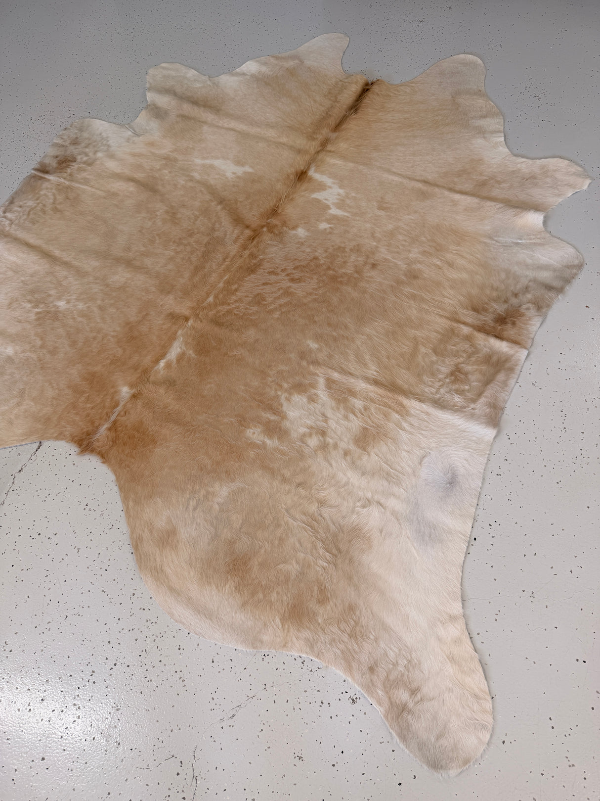 Genuine Cowhide Floor Rug 859