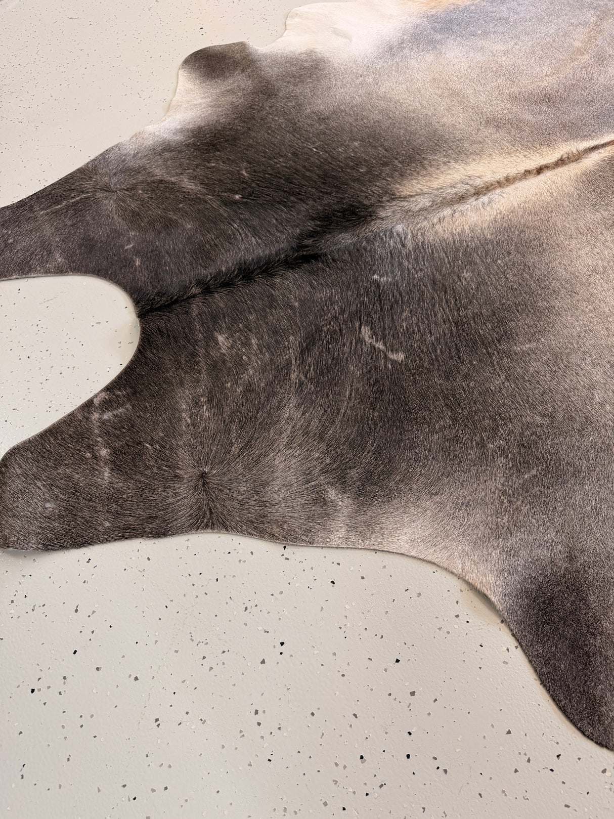 Genuine Cowhide Floor Rug 865