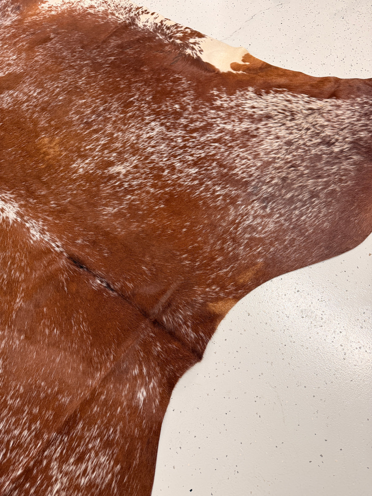 Genuine Cowhide Floor Rug 1255