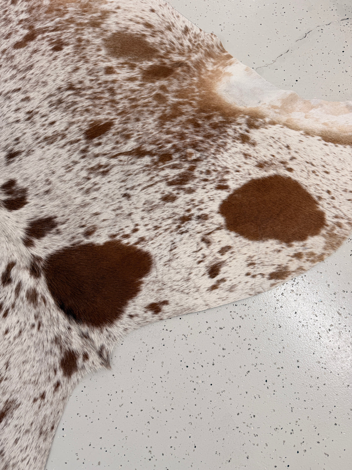 Genuine Cowhide Floor Rug 1258
