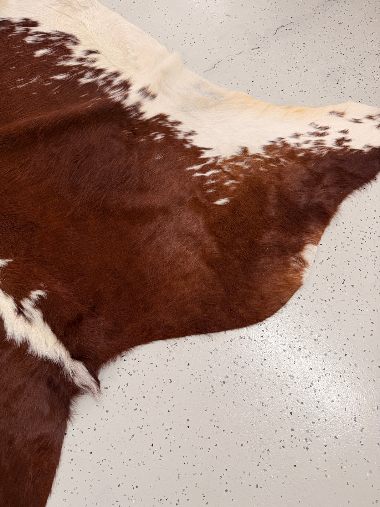 Genuine Cowhide Floor Rug 1260