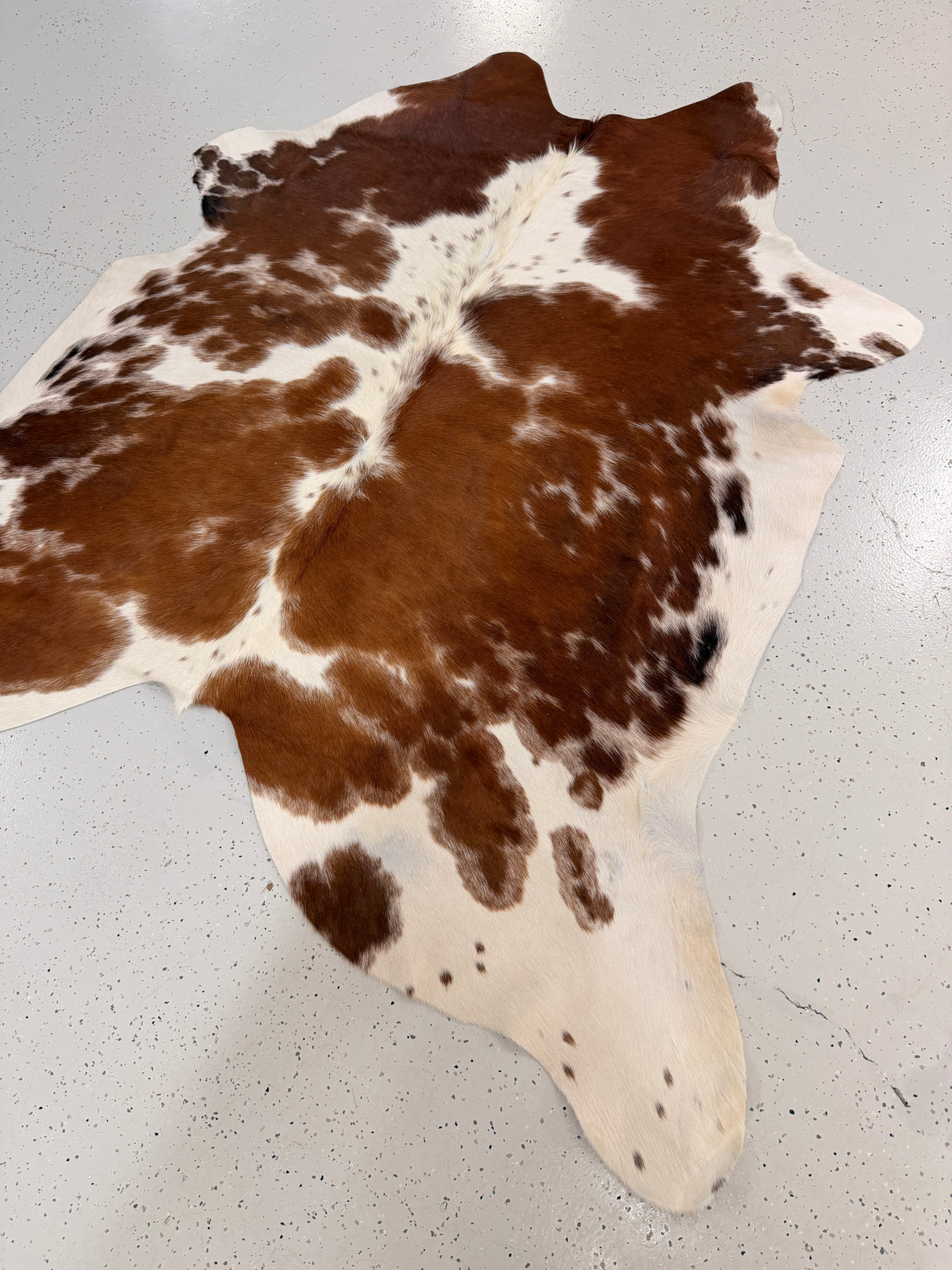 Genuine Cowhide Floor Rug 1261