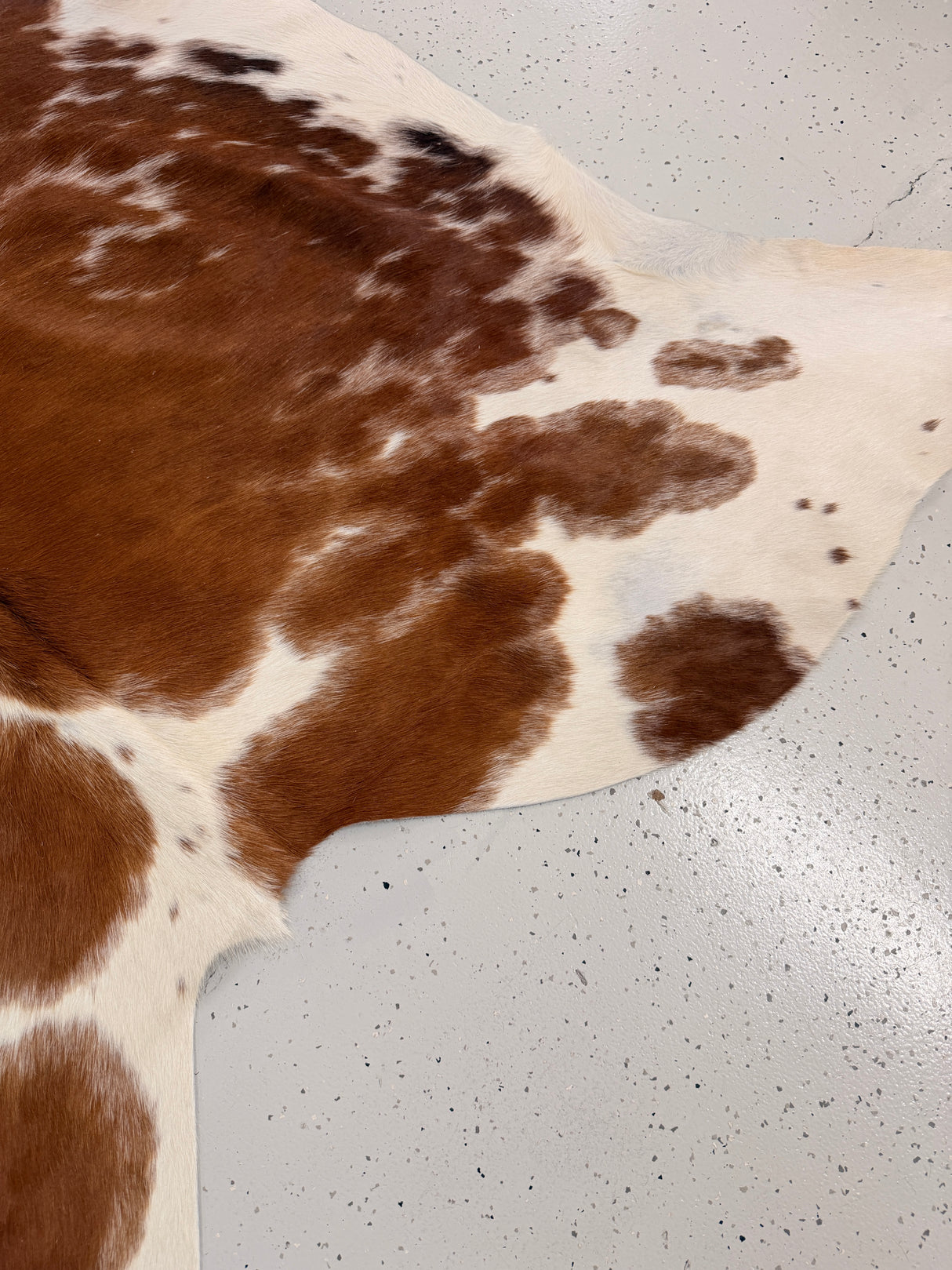 Genuine Cowhide Floor Rug 1261