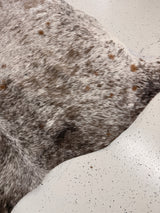 Genuine Cowhide Floor Rug 1263