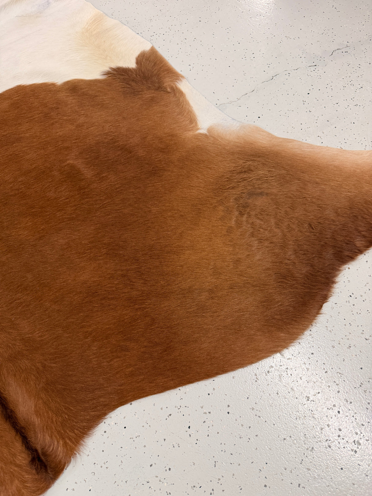 Genuine Cowhide Floor Rug 1270