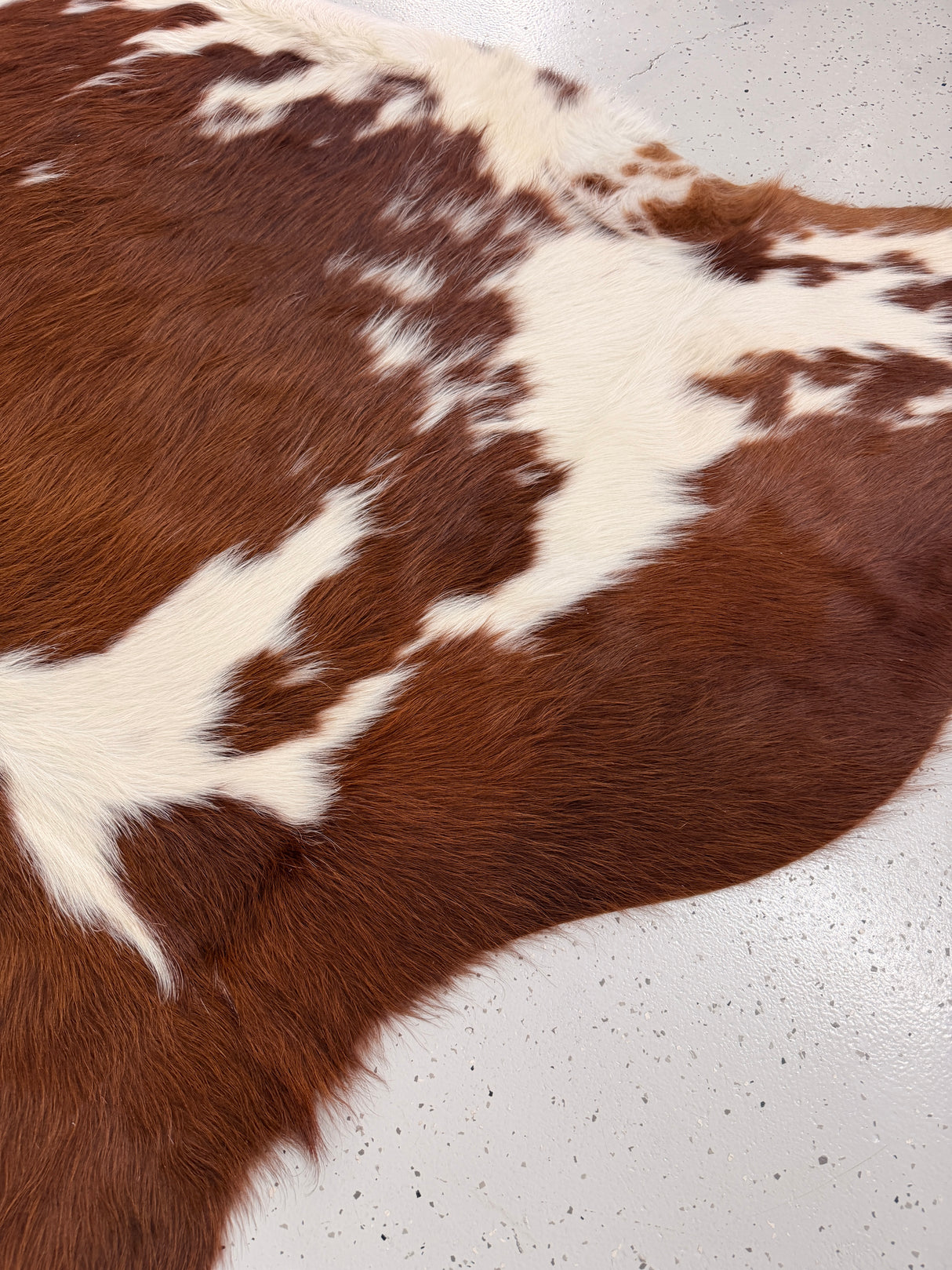 Genuine Cowhide Floor Rug 1274