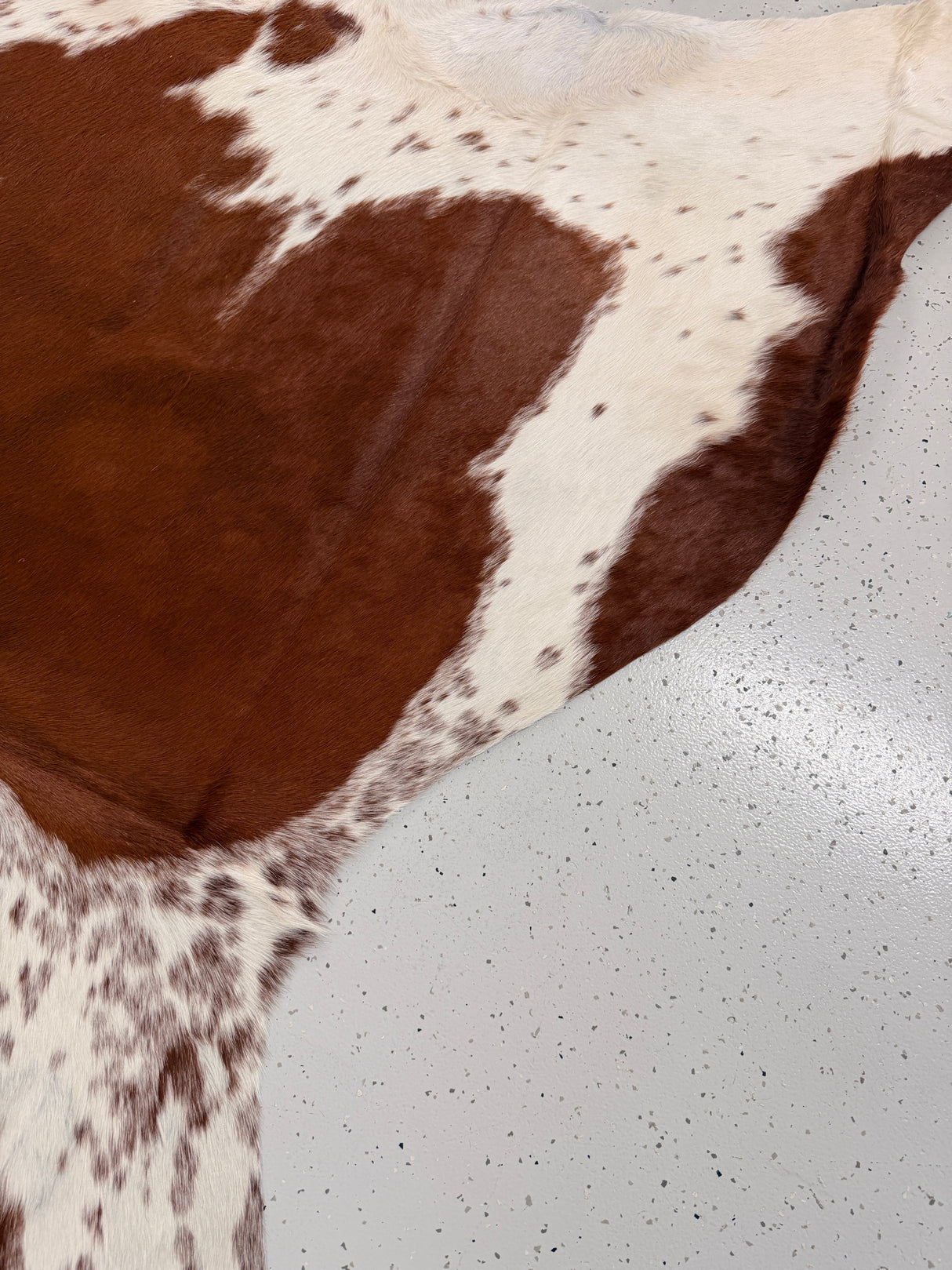Genuine Cowhide Floor Rug 1276
