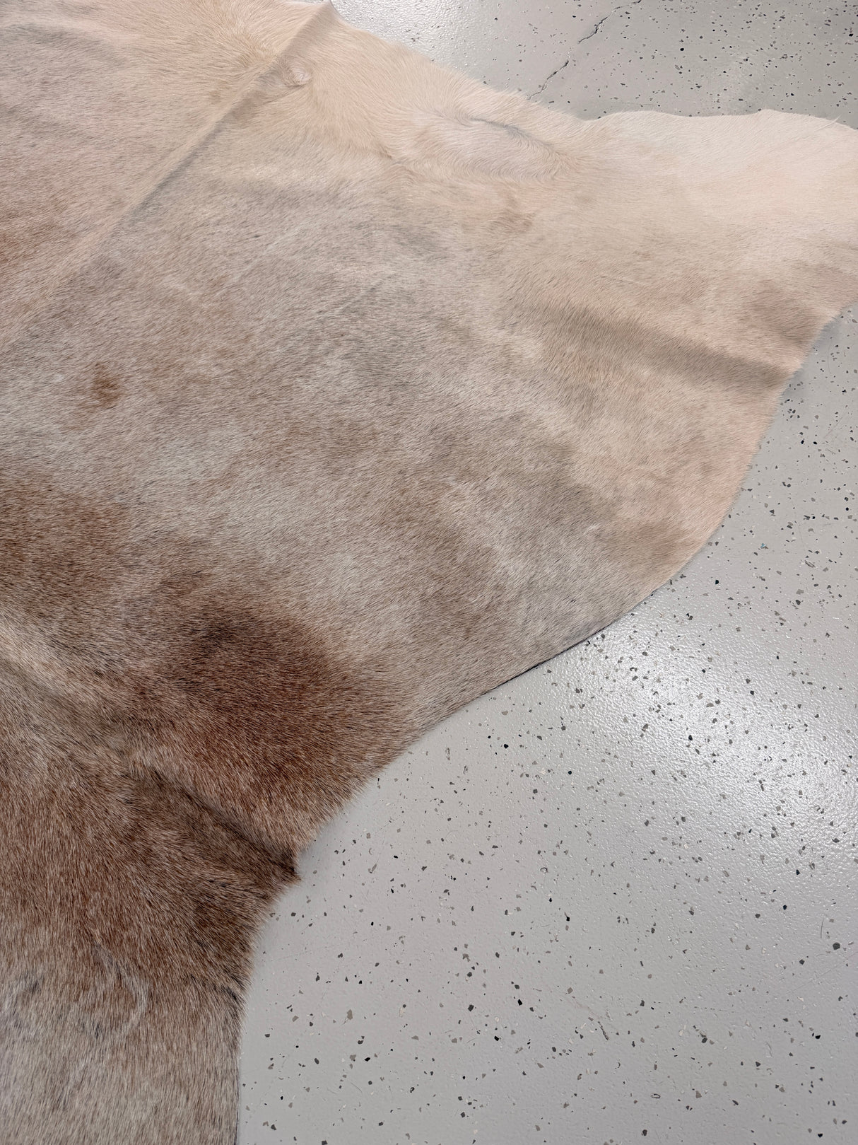 Genuine Cowhide Floor Rug 1277