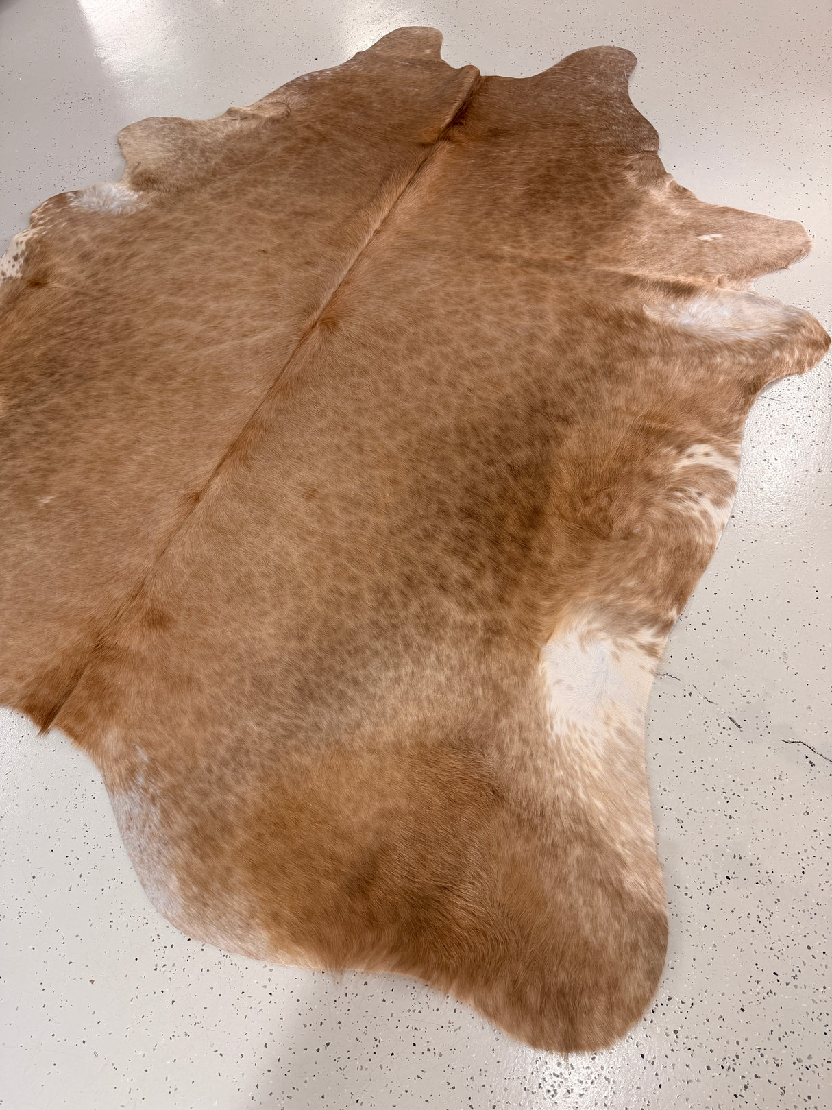 Genuine Cowhide Floor Rug 1278