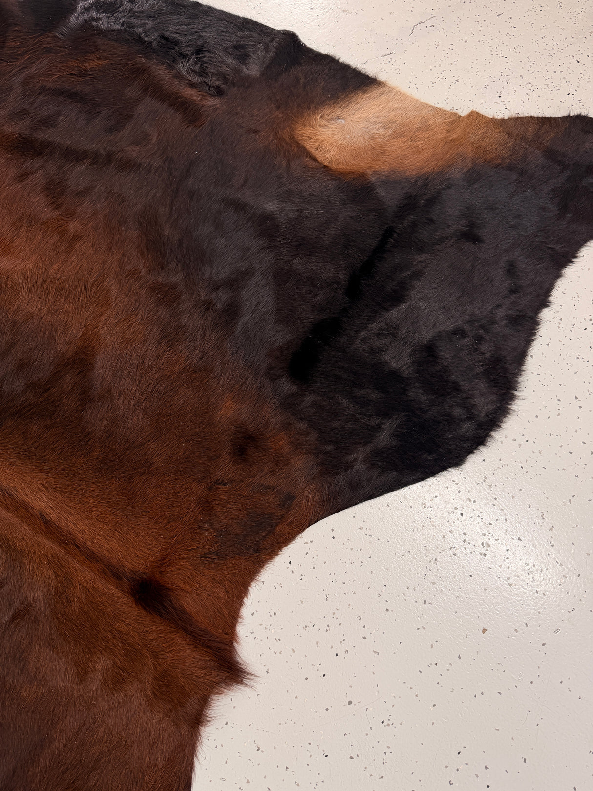 Genuine Cowhide Floor Rug 1279