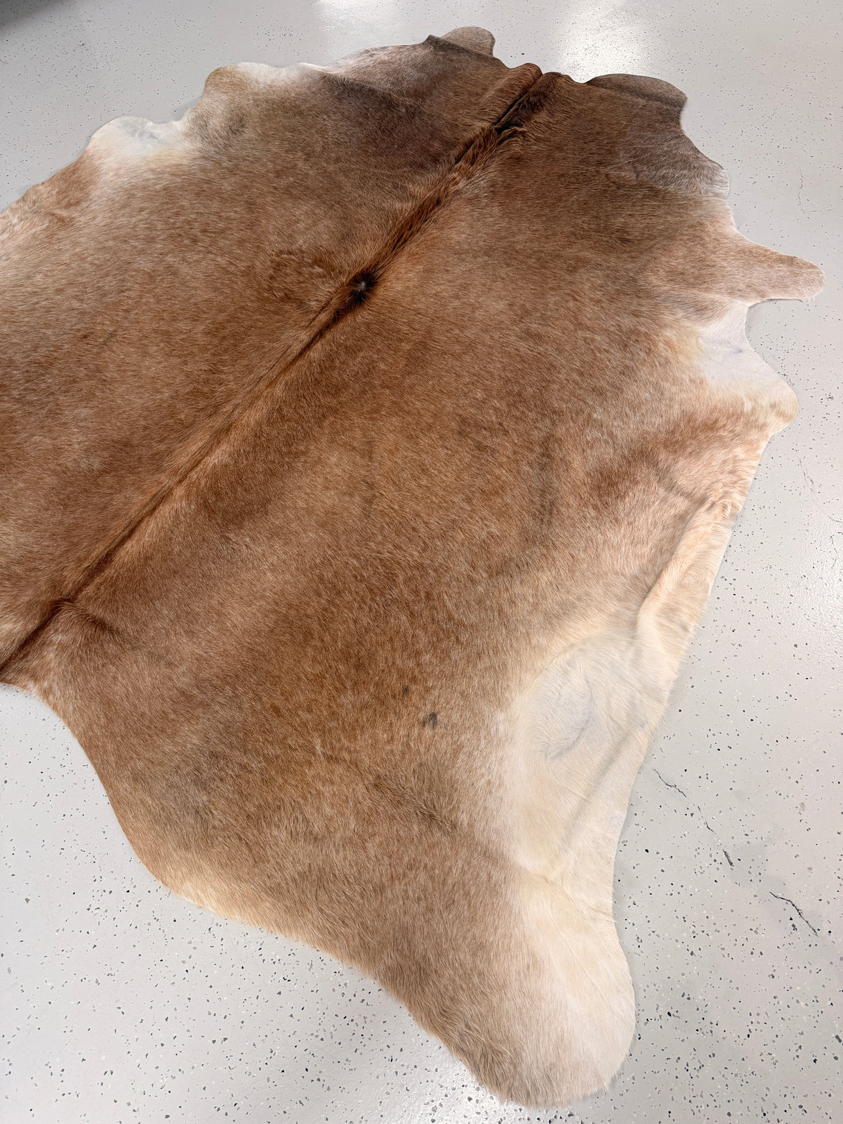 Genuine Cowhide Floor Rug 1281