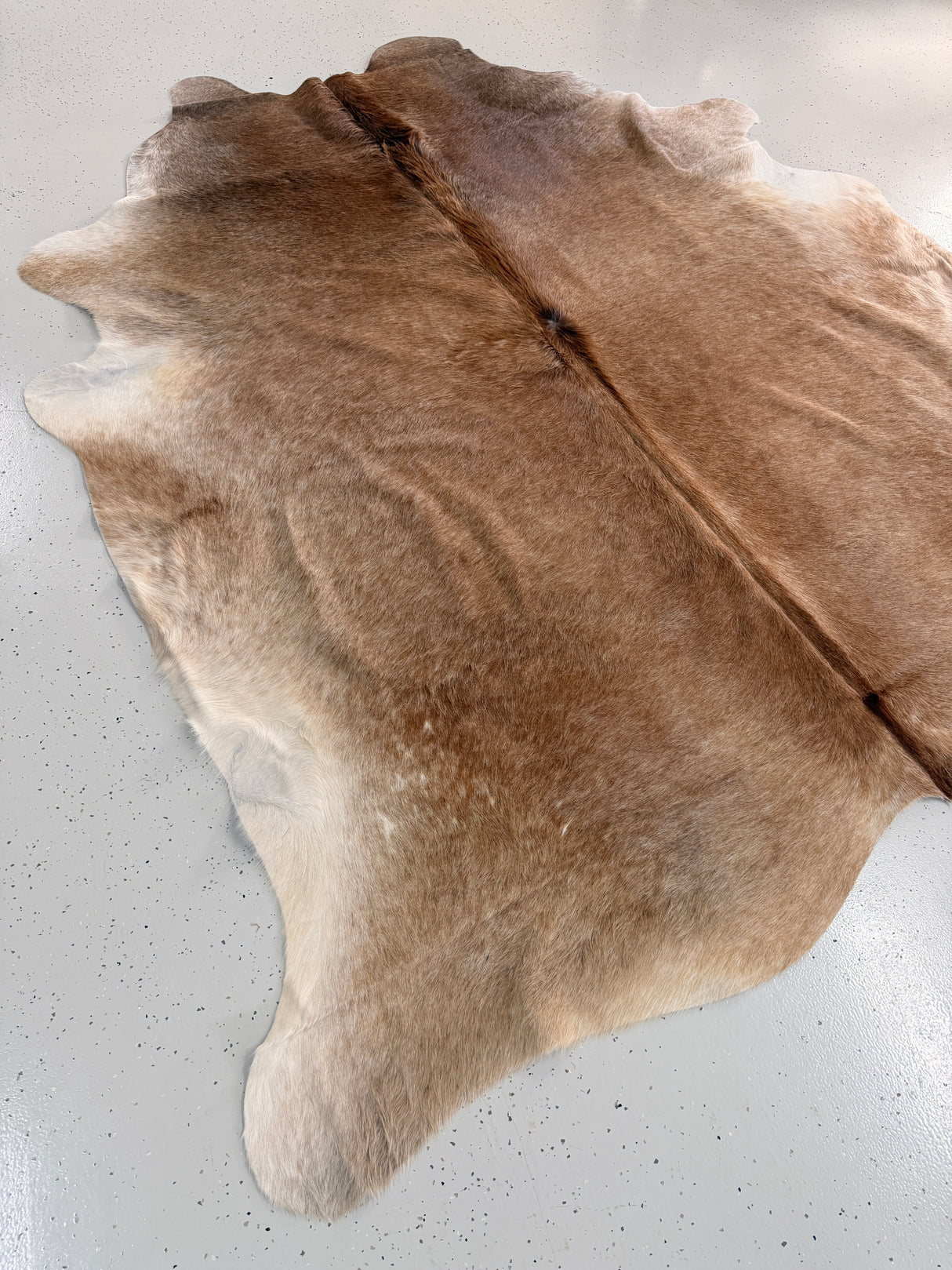 Genuine Cowhide Floor Rug 1281