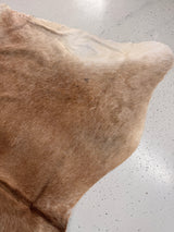 Genuine Cowhide Floor Rug 1281