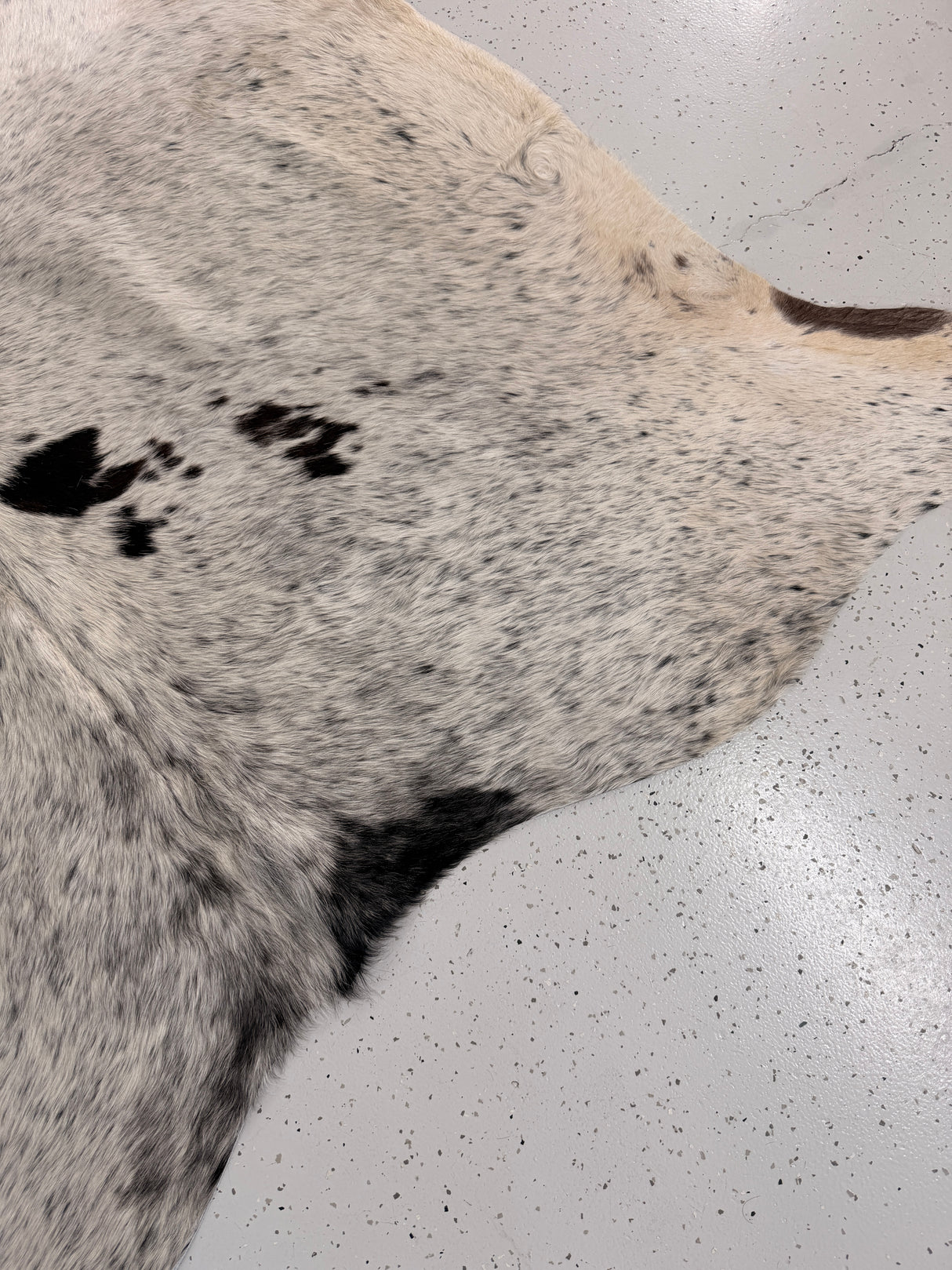 Genuine Cowhide Floor Rug 1282