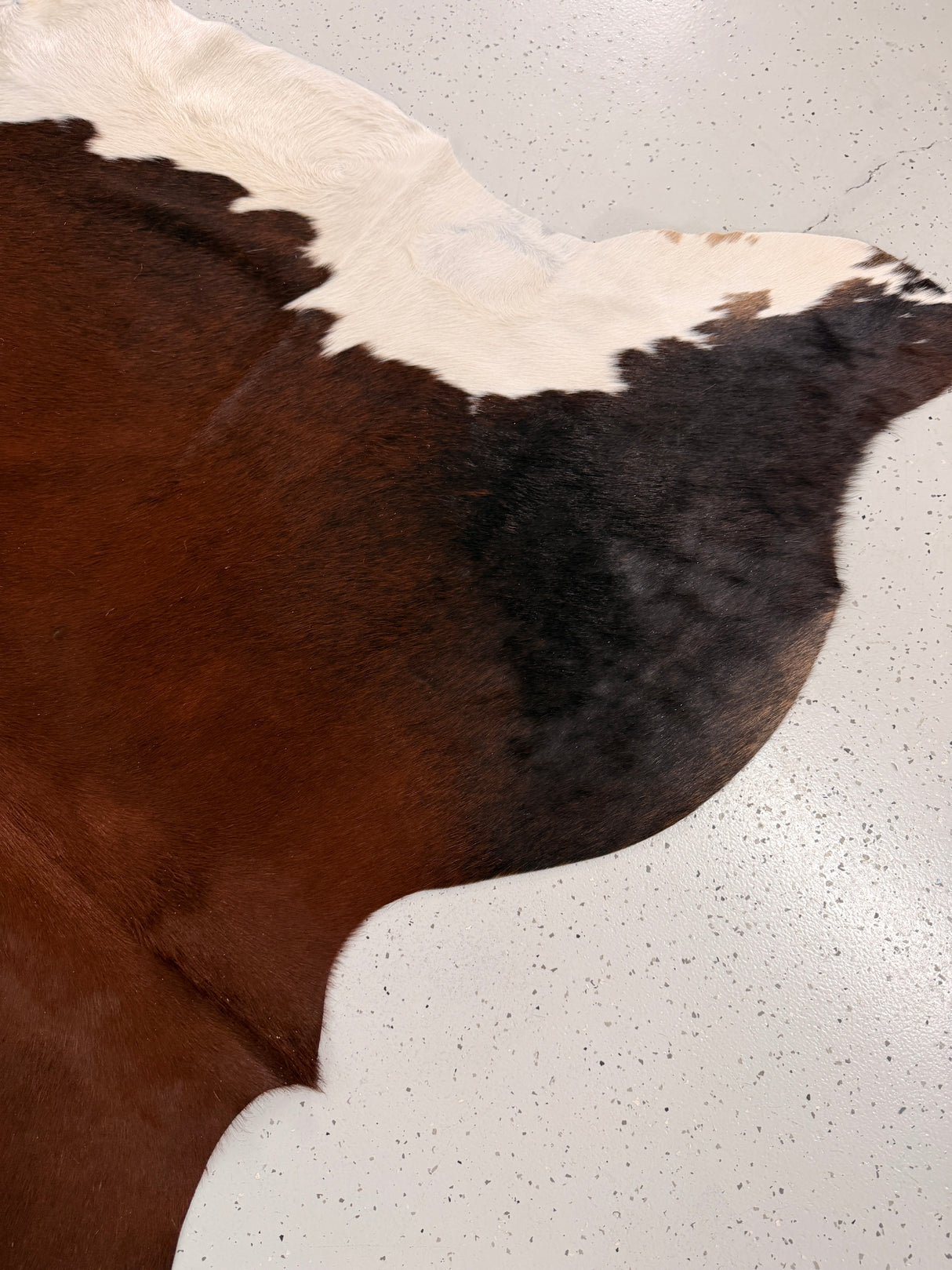 Genuine Cowhide Floor Rug 1283