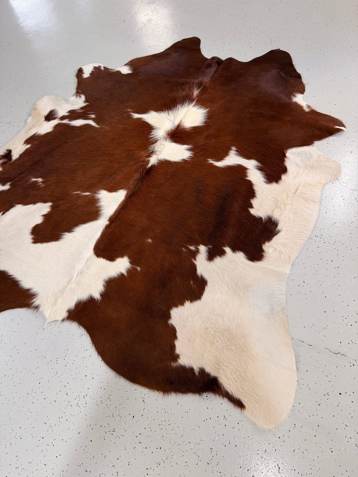 Genuine Cowhide Floor Rug 1284
