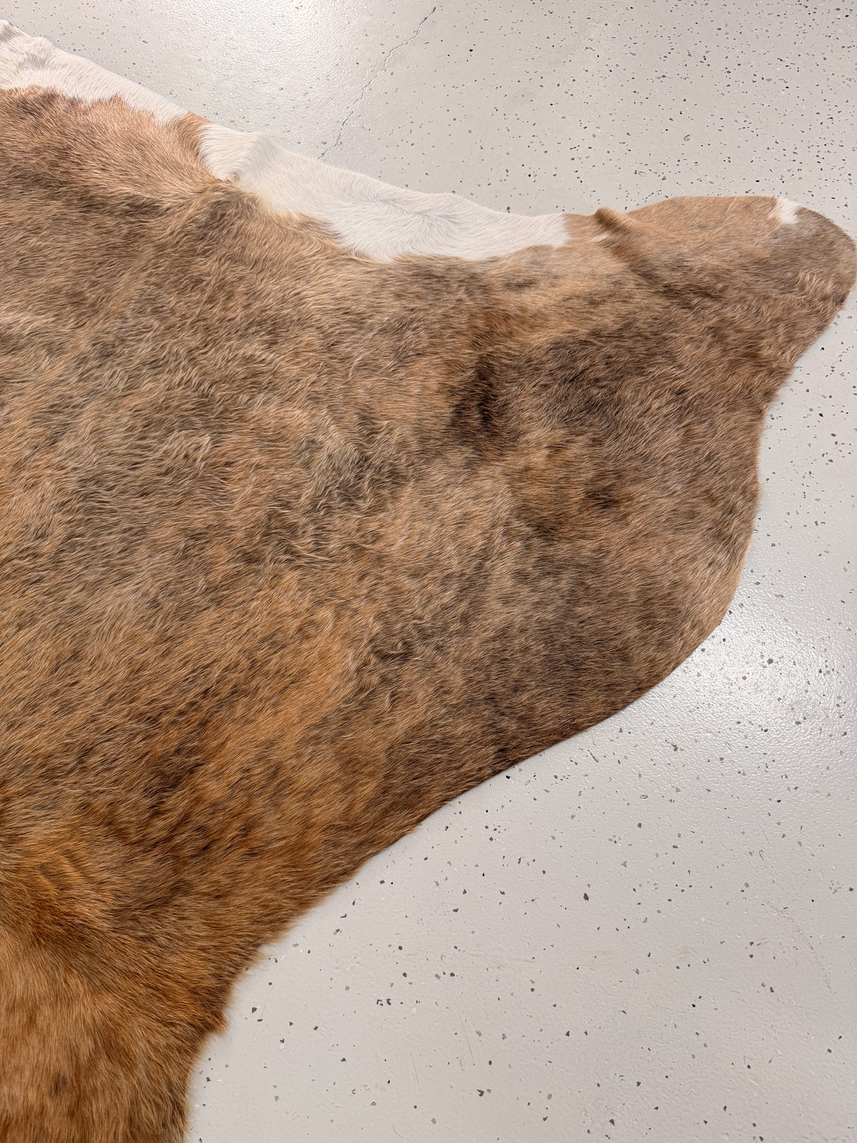 Genuine Cowhide Floor Rug 1288