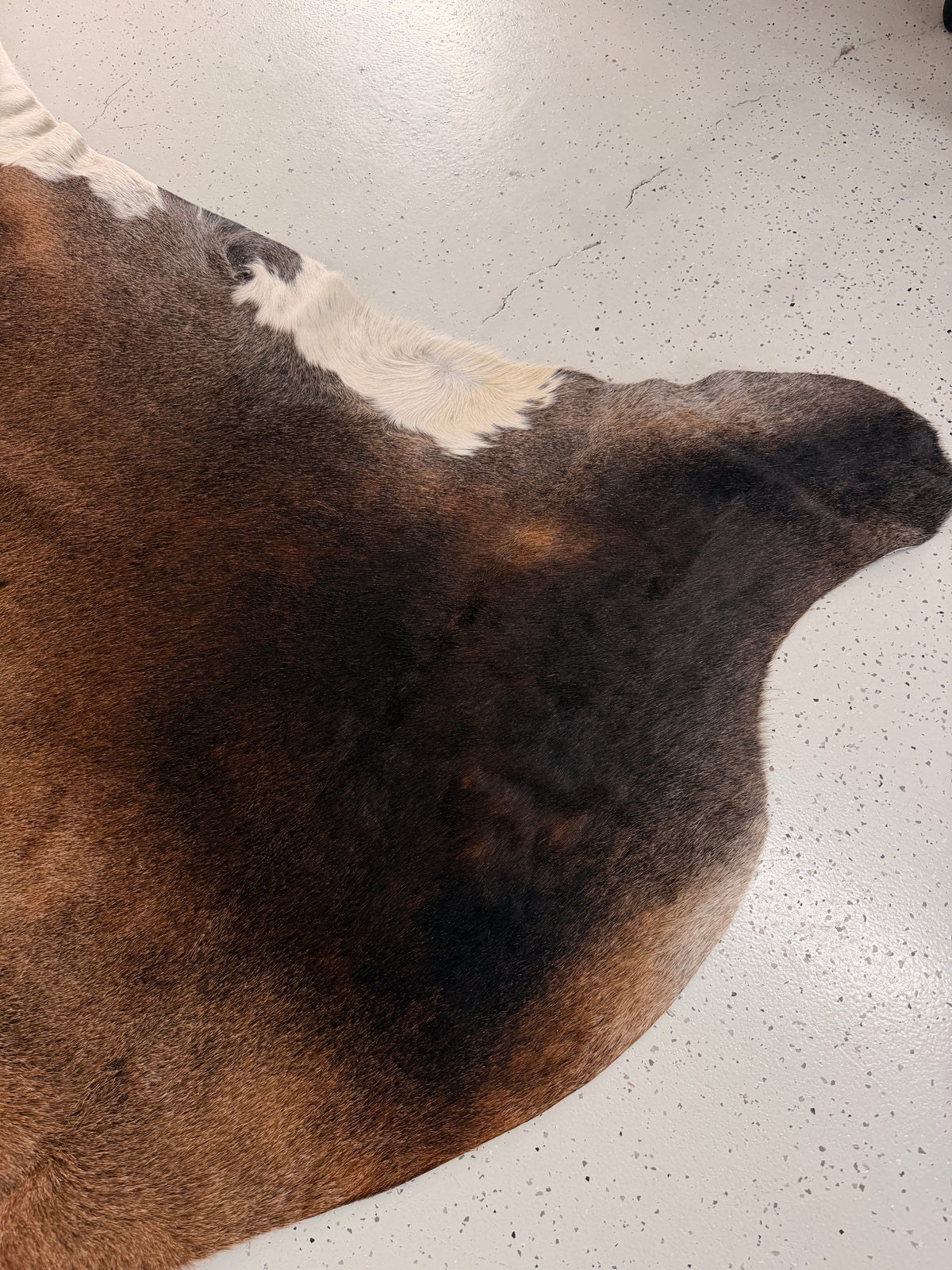 Genuine Cowhide Floor Rug 1291