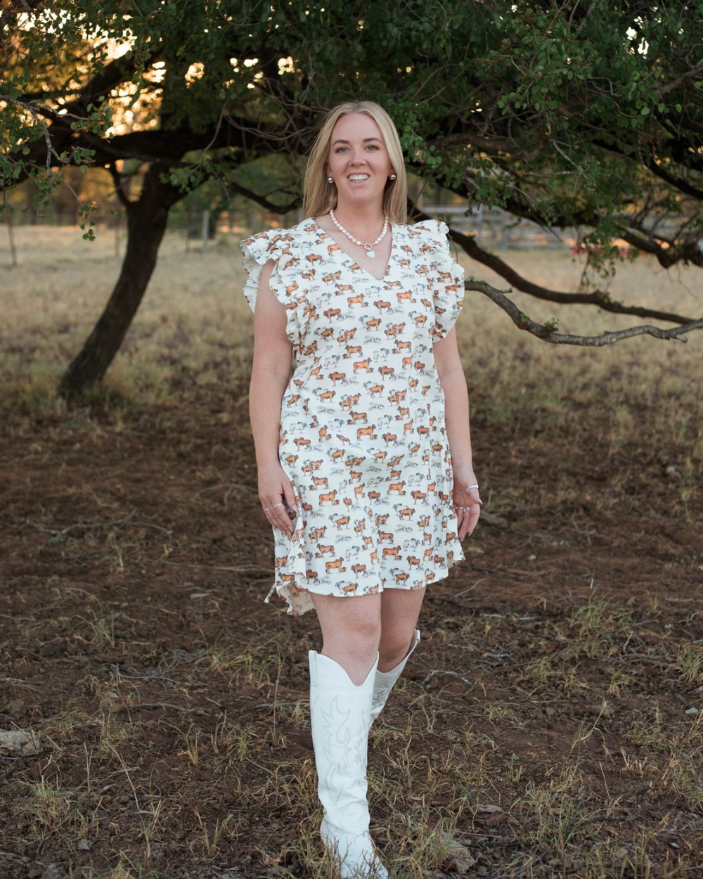 Ruffle Sleeve Dress - Brahman Collection