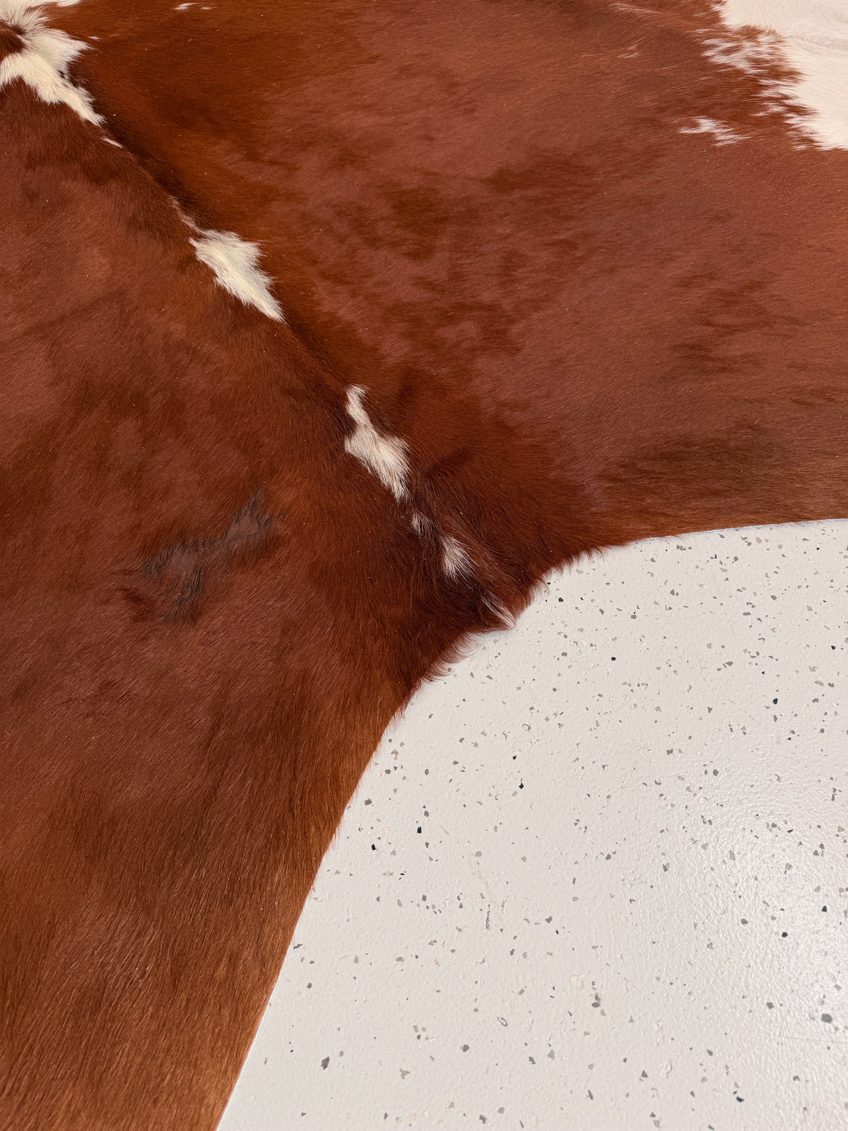 Genuine Cowhide Floor Rug 930