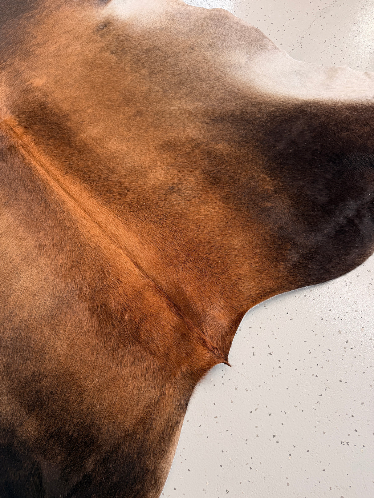 Genuine Cowhide Floor Rug 948