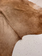 Genuine Cowhide Floor Rug 951